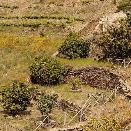 Quinta Nova Winery House - Relais & Chateaux 5*