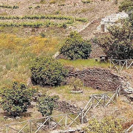 Quinta Nova Winery House - Relais & Chateaux