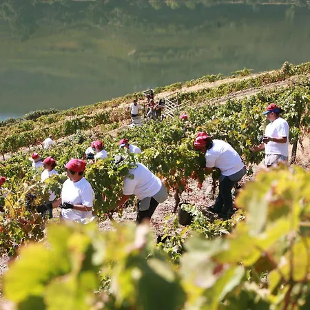 Quinta Nova Winery House - Relais & Chateaux Otel 5*