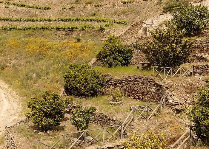 Quinta Nova Winery House - Relais & Chateaux 5*