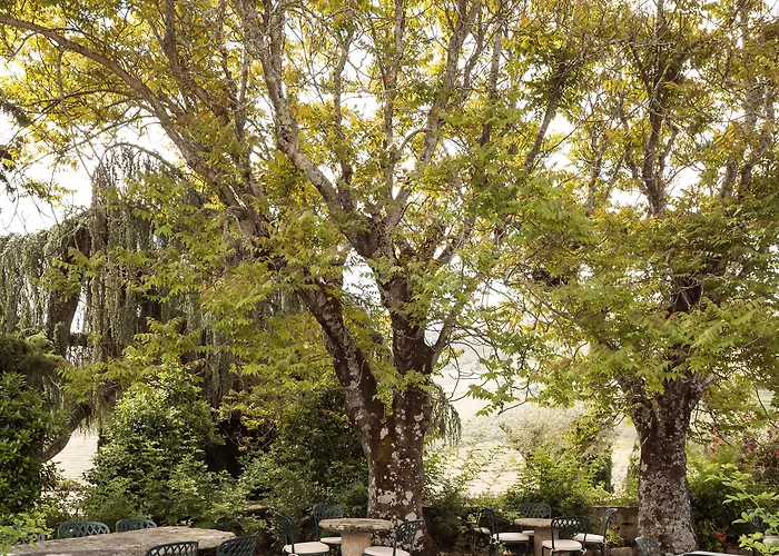 Quinta Nova Winery House - Relais & Chateaux 5* Pinhão