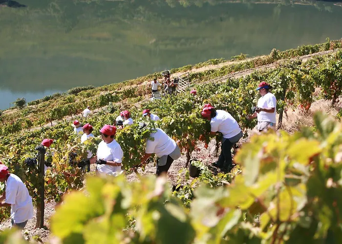 Quinta Nova Winery House - Relais & Chateaux Hotel 5*